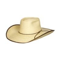 Sunbody Hats Alex Standard Palm Brim Hat (HG45ALEX) Natural Chocolate