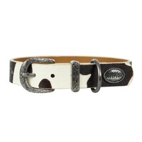 Pure Western Animals Adelaide Collar (P5W2954CLR) Black/White [SD]