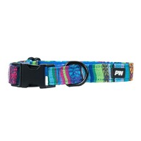 Pure Western Animals Bowie Collar (P5W2955CLR) Blue [SD]