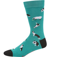 Bamboozld Mens Border Collie Bamboo Socks (BBS21BORDERCOLR) Green 7-11